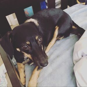 Meet your Posher, Nathan